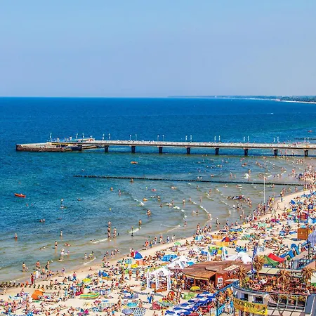 3 Bedroom Awesome In Mscicie Mścice