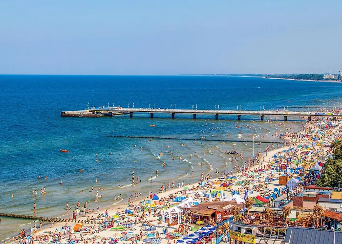 3 Bedroom Awesome In Mscicie Mścice